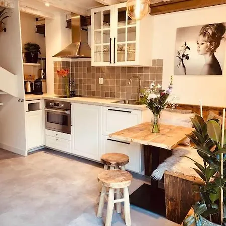 Holiday home Charming House W/ Private Wellness, Near Amsterdam Monnickendam